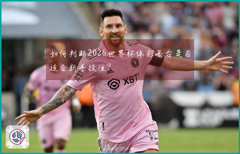 如何判断2026世界杯体彩平台是否适合新手投注？