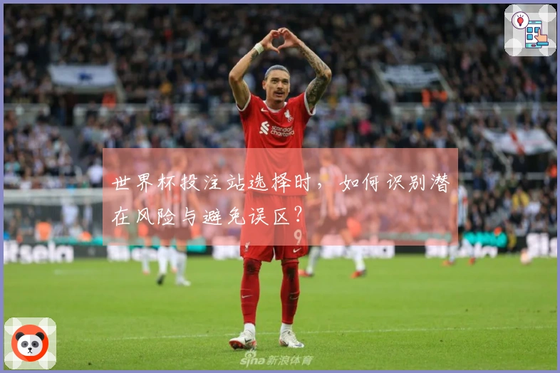 世界杯投注站选择时，如何识别潜在风险与避免误区？