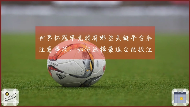 世界杯冠军竞猜有哪些关键平台和注意事项，如何选择最适合的投注渠道？
