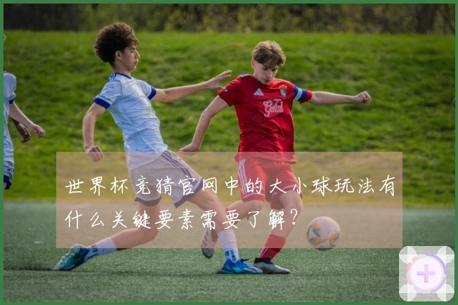世界杯竞猜官网中的大小球玩法有什么关键要素需要了解？