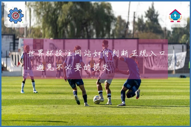 世界杯投注网站如何判断正规入口，避免不必要的损失