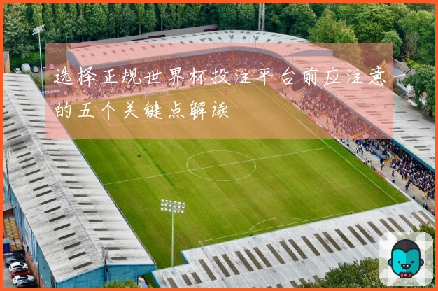 选择正规世界杯投注平台前应注意的五个关键点解读