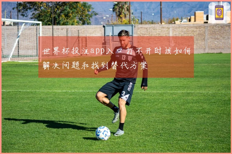 世界杯投注app入口打不开时该如何解决问题和找到替代方案