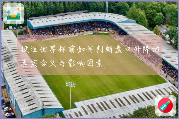 投注世界杯前如何判断盘口升降的真实含义与影响因素