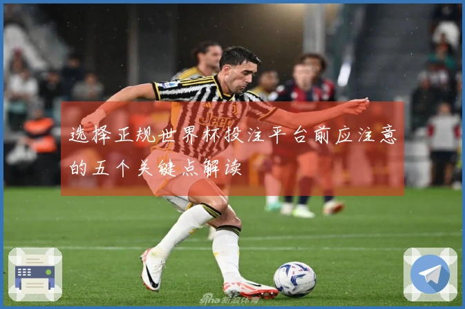 选择正规世界杯投注平台前应注意的五个关键点解读