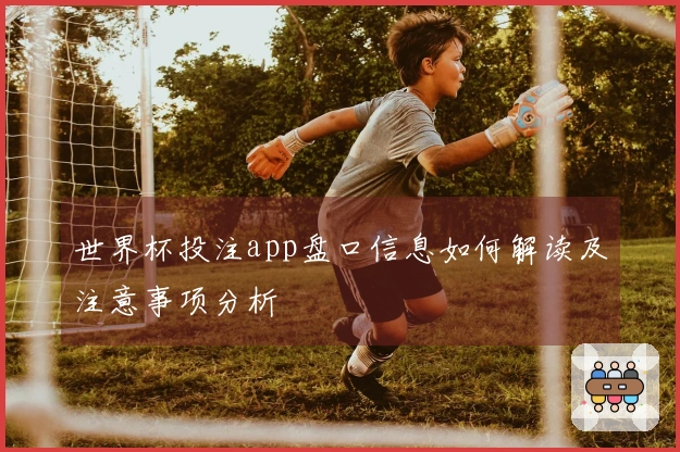 世界杯投注app盘口信息如何解读及注意事项分析