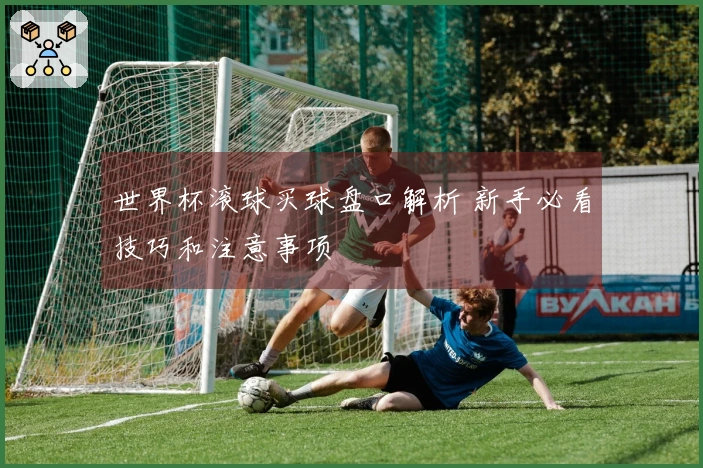 世界杯滚球买球盘口解析 新手必看技巧和注意事项