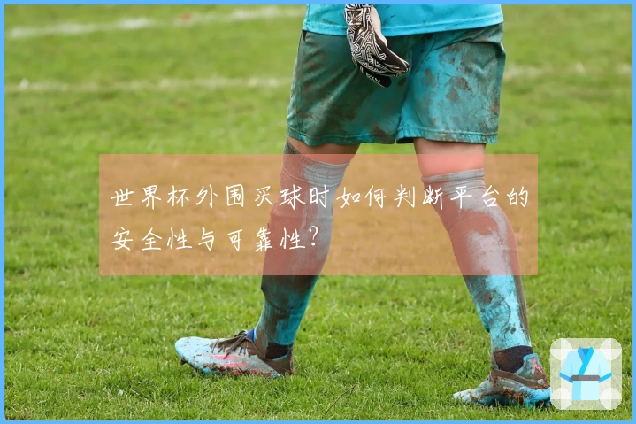 世界杯外围买球时如何判断平台的安全性与可靠性？