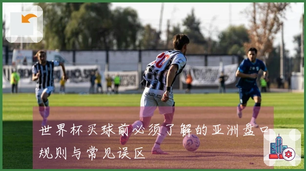世界杯买球前必须了解的亚洲盘口规则与常见误区
