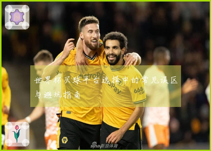 世界杯买球平台选择中的常见误区与避坑指南