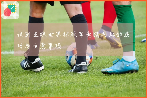 识别正规世界杯冠军竞猜网站的技巧与注意事项