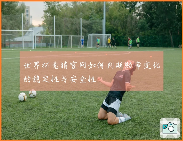 世界杯竞猜官网如何判断赔率变化的稳定性与安全性