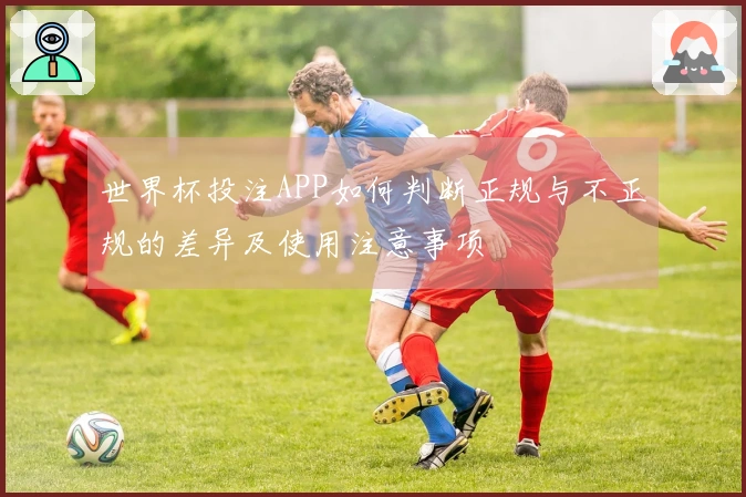 世界杯投注APP如何判断正规与不正规的差异及使用注意事项