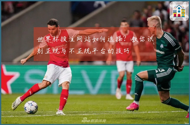 世界杯投注网站如何选择？教你识别正规与不正规平台的技巧