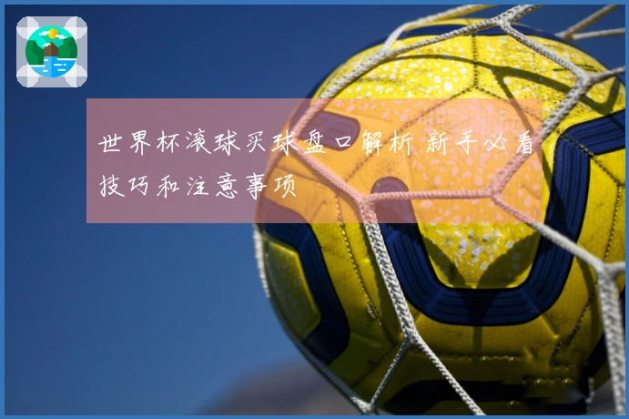 世界杯滚球买球盘口解析 新手必看技巧和注意事项