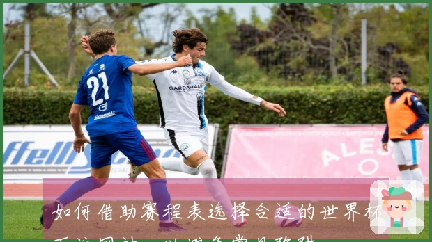 如何借助赛程表选择合适的世界杯下注网站，以避免常见陷阱