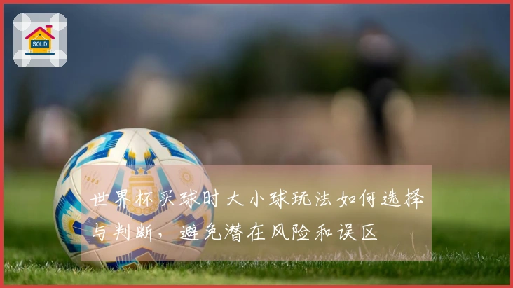 世界杯买球时大小球玩法如何选择与判断，避免潜在风险和误区