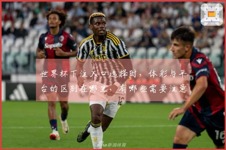 世界杯下注入口选择时，体彩与平台的区别在哪里，有哪些需要注意的事项？
