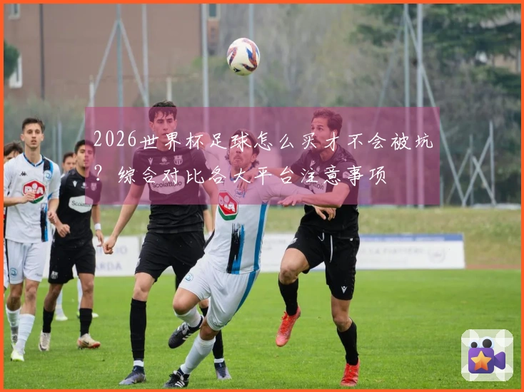2026世界杯足球怎么买才不会被坑？综合对比各大平台注意事项