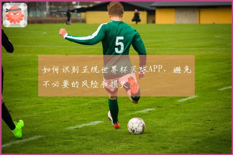 如何识别正规世界杯买球APP，避免不必要的风险和损失
