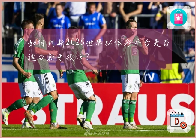 如何判断2026世界杯体彩平台是否适合新手投注？