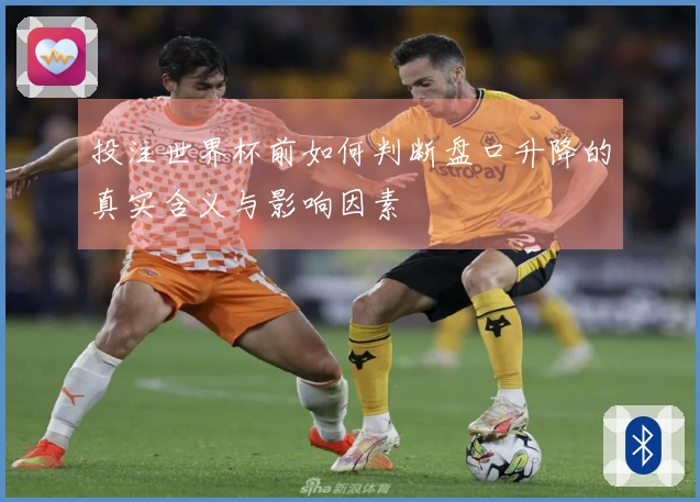 投注世界杯前如何判断盘口升降的真实含义与影响因素